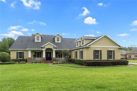 23001 Eques Ln, Eustis, FL 32736 photo 1