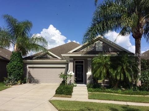 13924 Darchance Rd, Windermere, FL 34786 photo 1