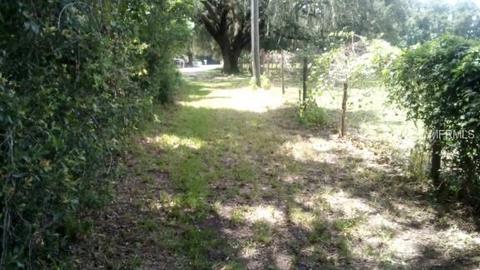 2630 Cr 724, Webster, FL 33597 photo 1