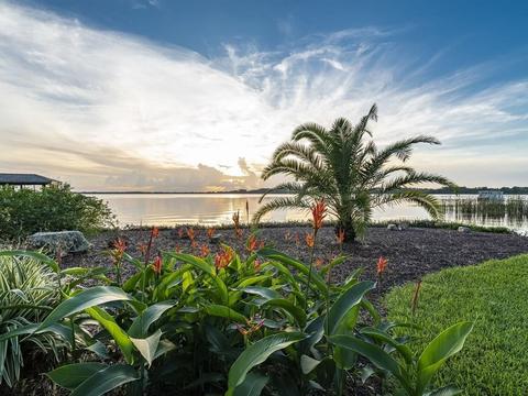 6230 Dora Dr, Mount Dora, FL 32757 photo 1