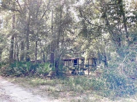 12236 49th Path, Webster, FL 33597 photo 1