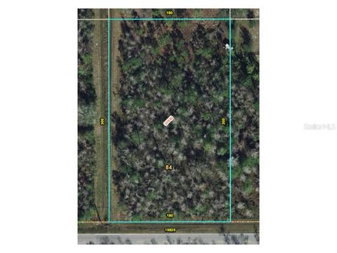 19829 Starry St, Orlando, FL 32833 photo 1