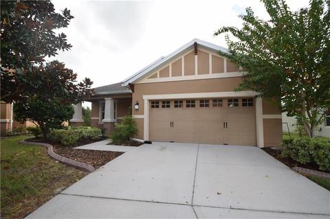 20824 Oldenburg Loop, Mount Dora, FL 32757 photo 1