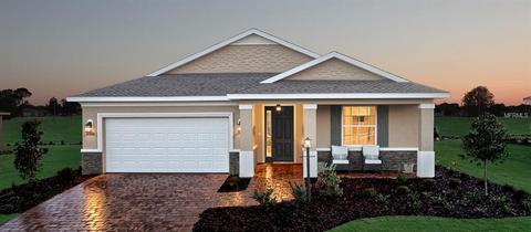 10018 SW 89th Loop, Ocala, FL 34481 photo 1