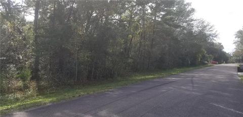 104 Rose Drive, Interlachen, FL 32148 photo 1