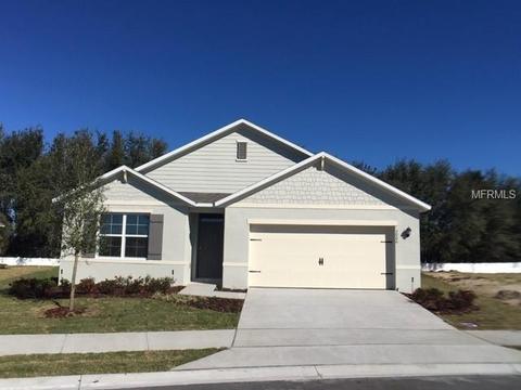 3066 Bethpage Loop, Mount Dora, FL 32757 photo 1