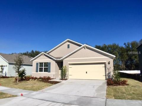 3096 Bethpage Loop, Mount Dora, FL 32757 photo 1
