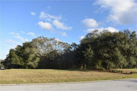 30126 Bretton Loop, Mount Dora, FL 32757 photo 1