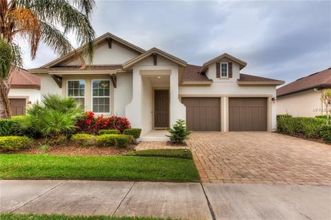 11641 Sprawling Oak Dr, Windermere, FL 34786 photo 1