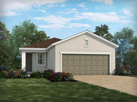 11871 Brighton Knoll Loop, Riverview, FL 33579 photo 1