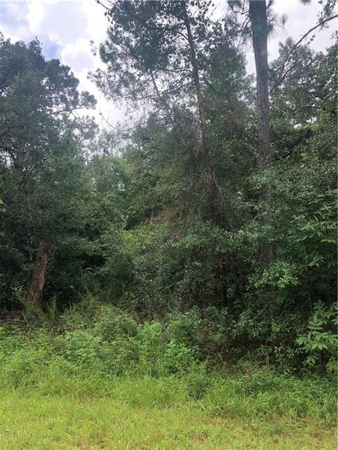 105 Oconner Dr, Satsuma, FL 32189 photo 1