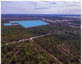 International Drive, Orlando, FL 32821
