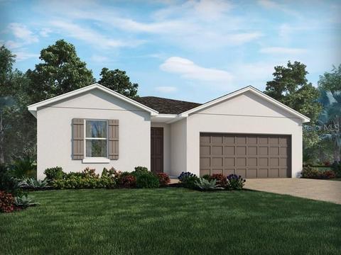 11806 Cara Field Ave, Riverview, FL 33579 photo 1