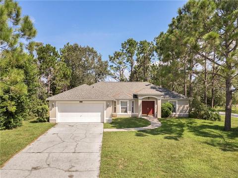 10237 Spring Moss Ave, Clermont, FL 34711 photo 1