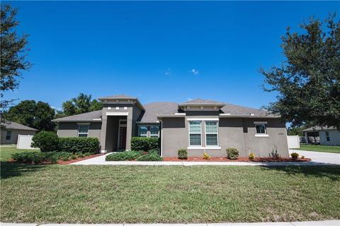2589 Tree Meadow Loop, Apopka, FL 32712 photo 1