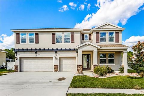 11711 Newberry Grove Loop, Riverview, FL 33579 photo 1
