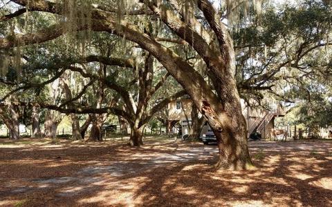 5404 Durant Rd, Dover, FL 33527 photo 1