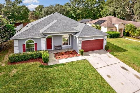 2254 Mountain Spruce St, Ocoee, FL 34761 photo 1