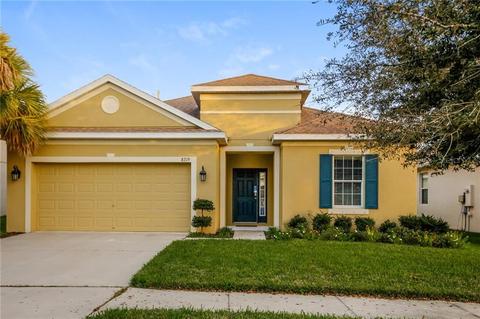 8219 Round Leaf Ln, Riverview, FL 33578 photo 1