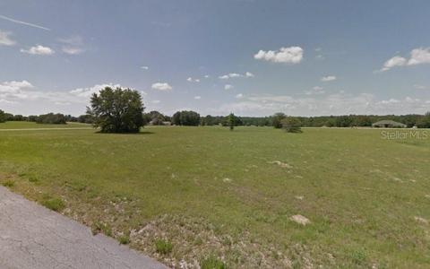 293 E Dusty Ct, Hernando, FL 34442 photo 1