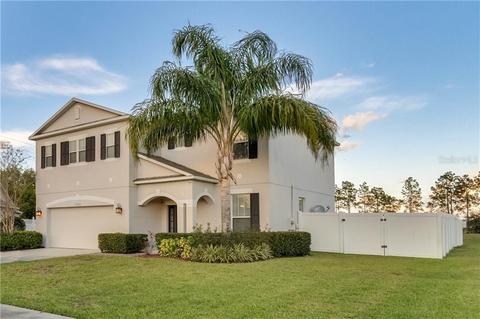 3536 Meadow Breeze Loop, Ocoee, FL 34761 photo 1