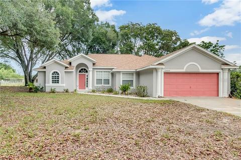 22645 State Road 44, Eustis, FL 32736 photo 1