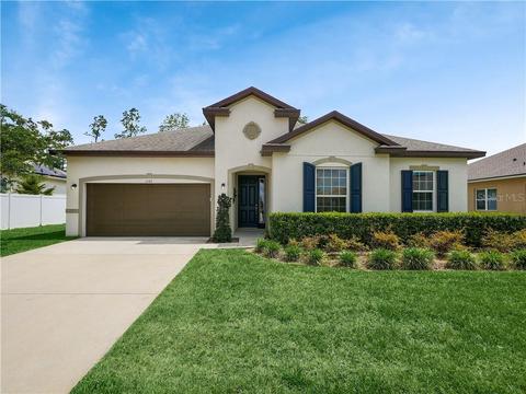 1103 Garrett Gilliam Dr, Ocoee, FL 34761 photo 1