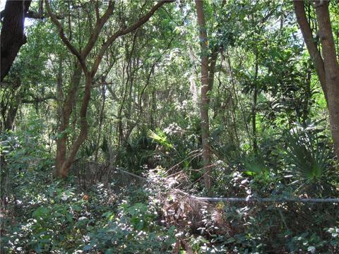 3901 Glen Ave, Mount Dora, FL 32757 photo 1