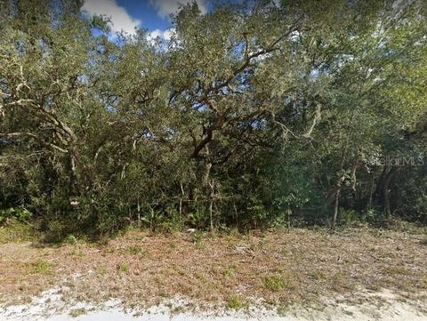 9088 Realstone Dr, Webster, FL 33597 photo 1