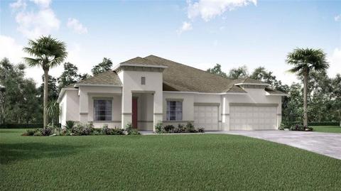 1905 Twin Rivers Trl, Parrish, FL 34219 photo 1
