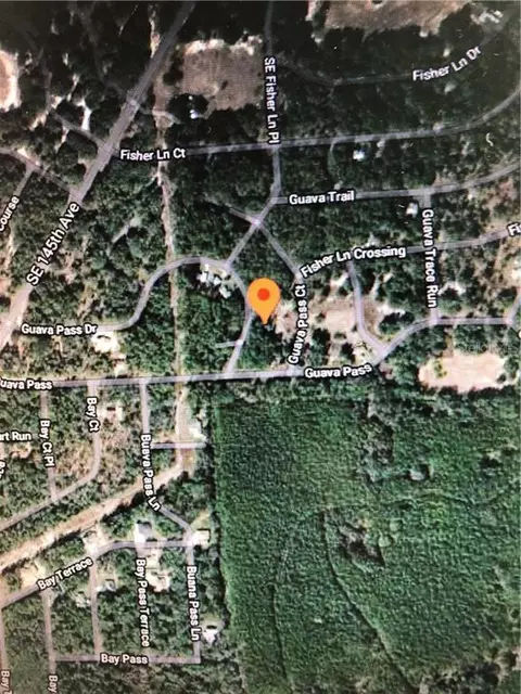 Undetermined, Weirsdale, FL 32195