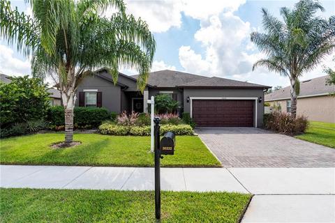 30232 Hackney Loop, Mount Dora, FL 32757 photo 1