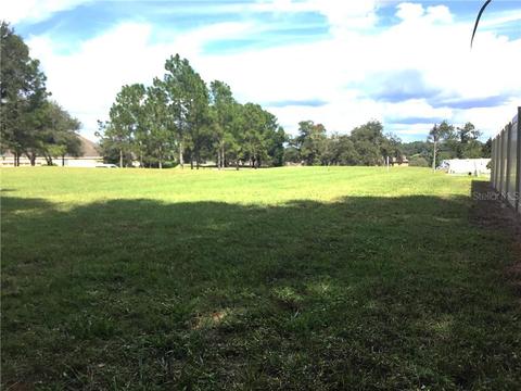 30101 Bretton Loop, Mount Dora, FL 32757 photo 1