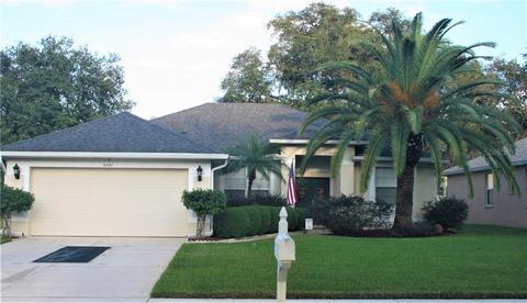 2451 Great Birch Dr, Ocoee, FL 34761 photo 1