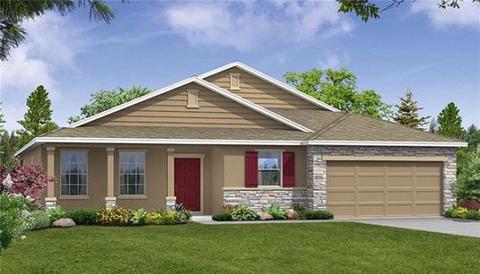 1705 Twin Rivers Trl, Parrish, FL 34219 photo 1