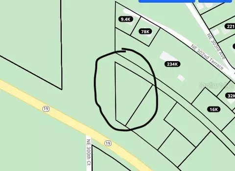 Sr 19, Salt Springs, FL 32134