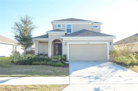 3348 Wolf Run Rd, Mount Dora, FL 32757 photo 1