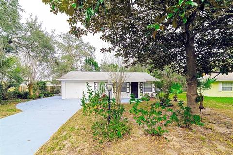 407 Lily Pad Ln, Eustis, FL 32726 photo 1