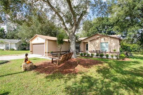 1616 Doris Ann Ct, Ocoee, FL 34761 photo 1