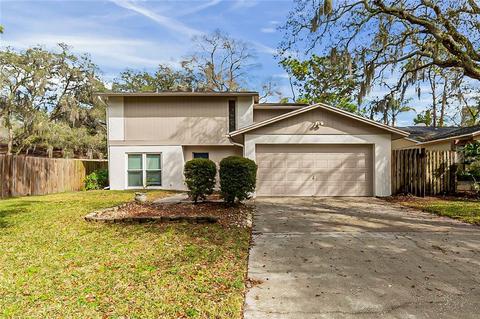 14719 Tall Tree Dr, Lutz, FL 33559 photo 1