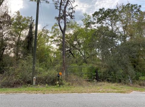 10722 Cr 683d, Webster, FL 33597 photo 1