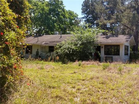 2675 Wolf Branch Rd, Mount Dora, FL 32757 photo 1