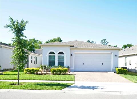 2821 Bigleaf Maple Dr, Ocoee, FL 34761 photo 1