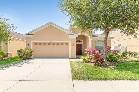 7005 Blue Beech Dr, Riverview, FL 33578 photo 1