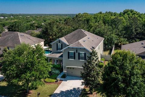 20906 Oldenburg Loop, Mount Dora, FL 32757 photo 1