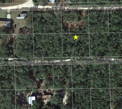 NE 236th Place, Fort Mc Coy, FL 32134
