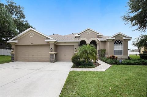 1313 Rowantree Dr, Dover, FL 33527 photo 1