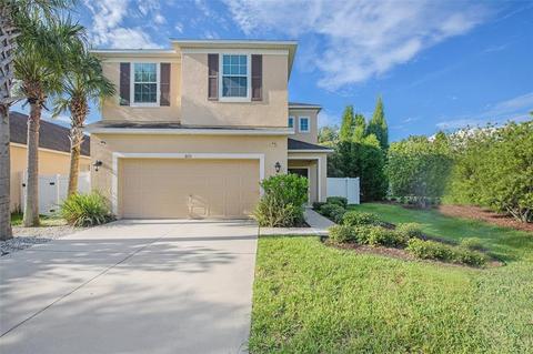 8713 Deep Maple Dr, Riverview, FL 33578 photo 1