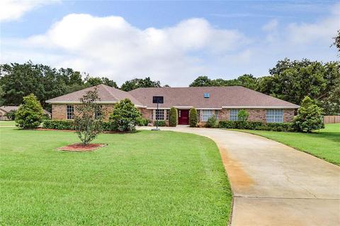 1337 Log Landing Dr, Ocoee, FL 34761 photo 1