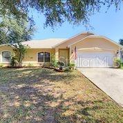 10400 Regal View Loop, Clermont, FL 34711 photo 1